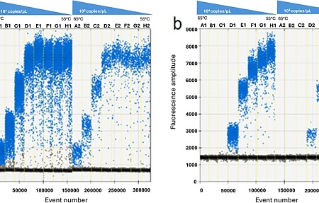 Сравнительный анализ методов цифровой ПЦР и ПЦР в реальном времени для количественного определения вируса АЧС