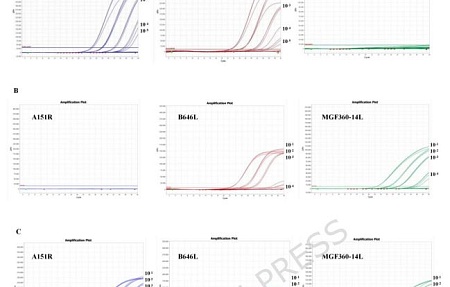 Разработка триплексного метода количественной ПЦР в реальном времени для выявления рекомбинантных штаммов вируса АЧС генотипов I/II