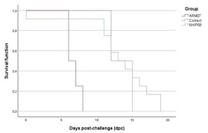 Оценка безопасности и эффективности пероральной вакцинации диких кабанов аттенуированным штаммом вируса АЧС NH/P68, адаптированным к клеточной линии MA104