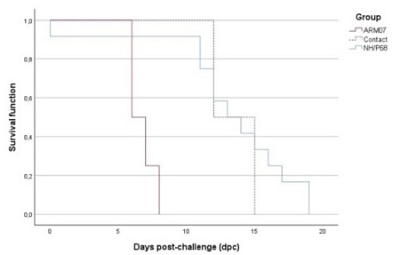 Оценка безопасности и эффективности пероральной вакцинации диких кабанов аттенуированным штаммом вируса АЧС NH/P68, адаптированным к клеточной линии MA104