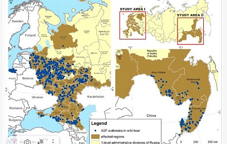 Факторы риска распространения африканской чумы свиней у диких кабанов в России: использование регрессионного анализа в алгоритмах классификации