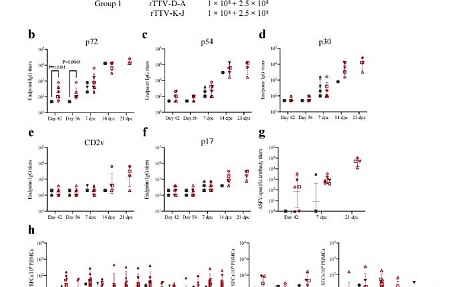 Рекомбинантная вакцина против АЧС на основе вектора осповакцины увеличивает выживаемость свиней при контролируемом заражении вирусом генотипа II