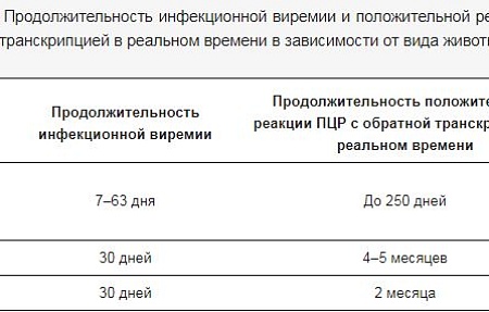 Борьба со вспышками блютанга: точка зрения практикующего врача