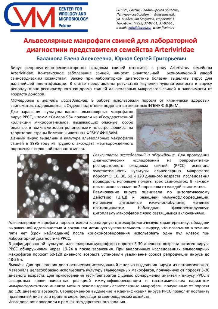 Постер Альвеолярные макрофаги свиней для лабораторной диагностики представителя семейства Arteriviridae_page-0001.jpg Постер Альвеолярные макрофаги свиней для лабораторной диагностики представителя семейства Arteriviridae_page-0001.jpg