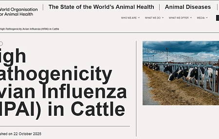 Всемирная организация по охране здоровья животных (World Organisation for Animal Health/ WOAH/ВОЗЖ) предупреждает о сохраняющейся эпизоотической угрозе, связанной с высокопатогенным гриппом птиц