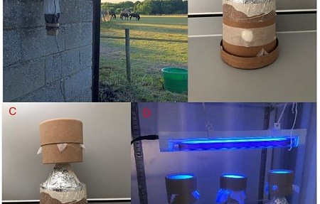 Предельные значения температуры и влажности для лётной активности мокрецов Culicoides (Diptera: Ceratopogonidae), собранных в полевых условиях в Великобритании