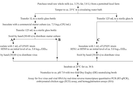 Инактивация вируса гриппа птиц в кефире из сырого молока