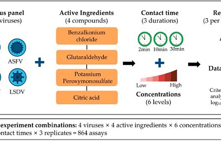 Влияние концентрации и продолжительности воздействия дезинфицирующих средств на их вирулицидную активность в отношении ключевых патогенов трансграничных заболеваний животных