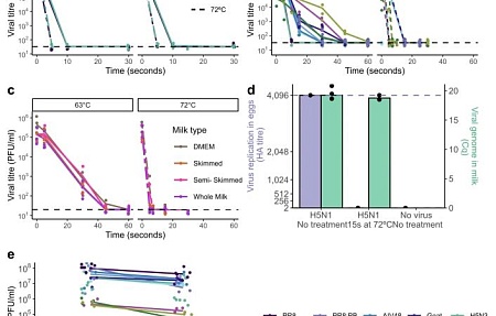 Пастеризация инактивирует вирус гриппа А в молоке