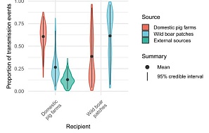 Многовидовая механистическая модель возникновения и контроля африканской чумы свиней в Румынии