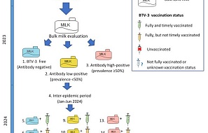 Оценка эффективности вакцинации в снижении смертности и потерь молочной продуктивности, вызванных вирусом блютанга серотипа 3, у молочных коров в Нидерландах