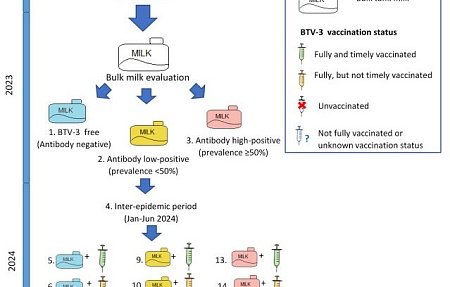 Оценка эффективности вакцинации в снижении смертности и потерь молочной продуктивности, вызванных вирусом блютанга серотипа 3, у молочных коров в Нидерландах