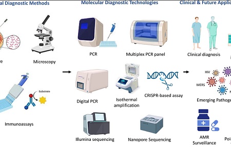Молекулярная диагностика в клинической микробиологии: достижения, применение и перспективы развития