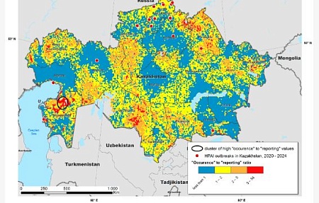 Определение пригодности окружающей среды Казахстана для распространения высокопатогенного гриппа птиц с использованием данных о вспышках в Евразии в 2020–2024 годах