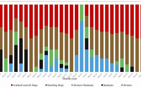 Использование специально обученных собак для обнаружения туш диких кабанов в рамках пассивного мониторинга является наиболее результативным методом предотвращения распространения АЧС на территории Польши