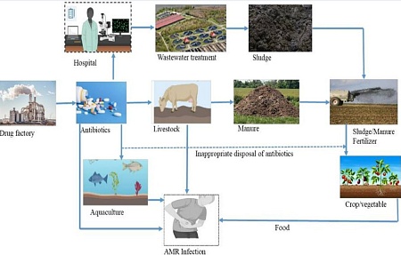Применение антибактериальных препаратов в животноводстве и устойчивость к ним в окружающей среде