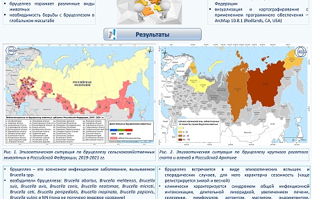 Эпизоотическая ситуация по бруцеллезу животных в Российской Федерации (обзор)