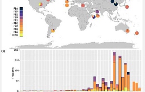 Прогрессивная эволюция Streptococcus equi от Streptococcus equi подвид zooepidemicus и адаптация к хозяевам-лошадям