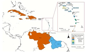 Верхушка айсберга: контакты высокого риска распространения геморрагических лихорадок свиней в Карибском регионе
