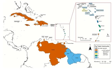 Верхушка айсберга: контакты высокого риска распространения геморрагических лихорадок свиней в Карибском регионе
