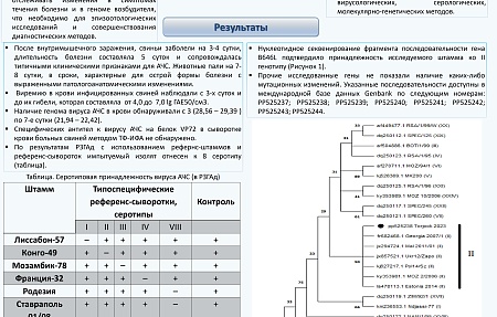 Характеристика изолята вируса африканской чумы свиней, выделенного на территории Тверской области