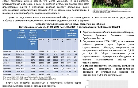 Выявление серопозитивных кабанов в Евразии как признак возможного формирования эндемичных по АЧС территорий