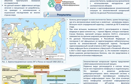 Злокачественная катаральная горячка: патогенез, проблемы профилактики и контроля (обзор литературы)