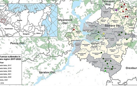 A highly pathogenic avian influenza virus H5N1 clade 2.3.4.4 detected in Samara Oblast, Russian Federation