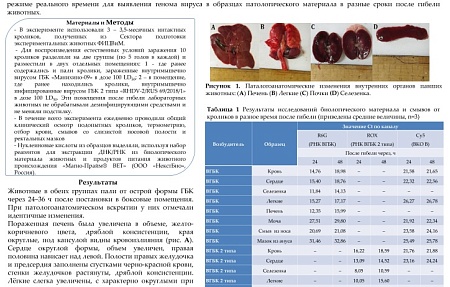 Альтернативные пробы в ПЦР-диагностике ВГБК