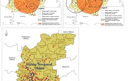 Patterns of animal rabies in the Nizhny Novgorod region of Russia (2012–2022): the analysis of risk factors