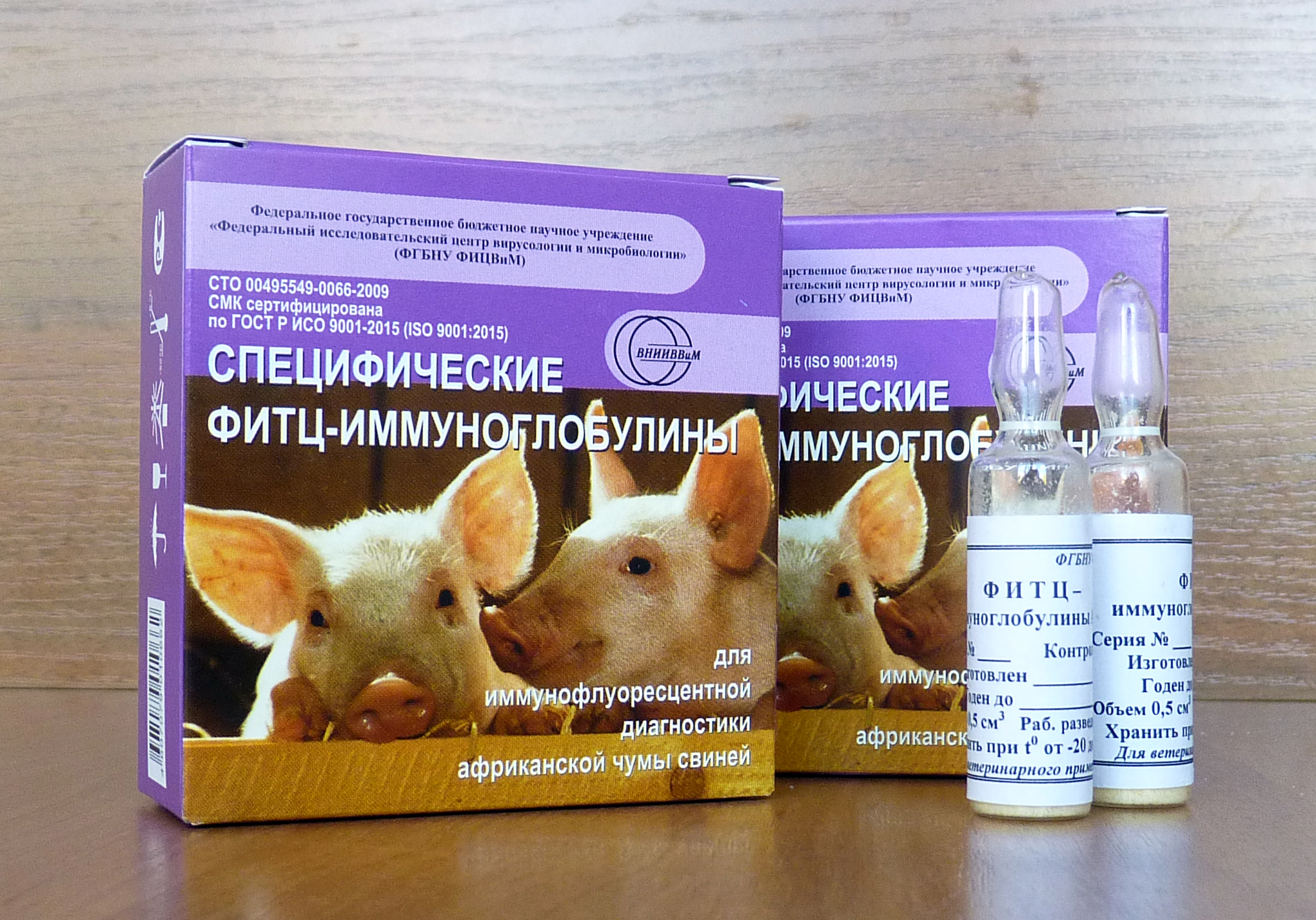 Классическая вакцина. Вакцину от африканской чумы свиней. Возбудитель классической чумы свиней. Возбудитель африканской чумы свиней.